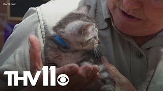 Arkansas animal shelter using unique names to boost adoptions