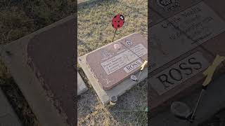 Lietenant Ernest Napoleon 13 DEC 1921 16, Nov 2002 5 Division Artillerie Lietenant Ernest Napoleon 13 DEC 1921 16, Nov 2002 5 Division Artillerie