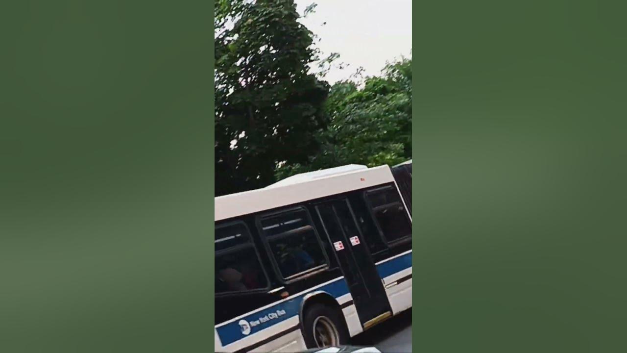 MTA 2010 Novabus LFSA 1225 Bx22 Bus 8/24/2024 YouTube