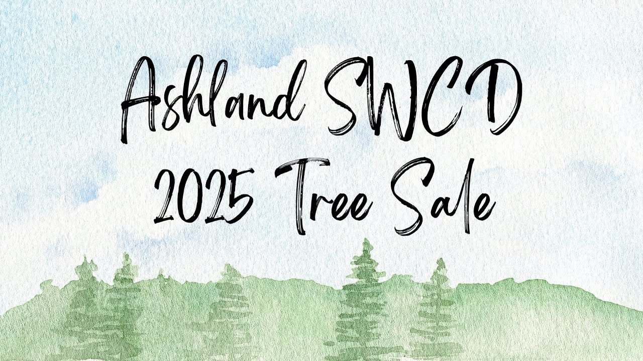 Swcd Tree Sale Ashland SWCD 2025 Tree Sale - YouTube