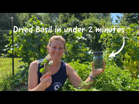 2 Minute Dried Basil