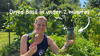 2 Minute Dried Basil