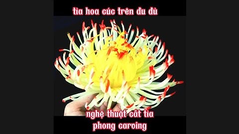 tập 5 tỉa hoa cúc từ đu đủ đơn giản nhất hiện nay ai củng có thể làm được...#nghệthuậtcắttỉa #hoacúc