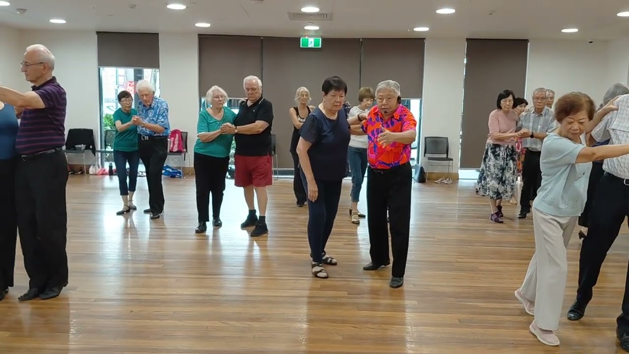 WANDERER'S WALTZ walkthrough by Albert & Nancy Oh.