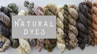 DIY Natural Dyes with Heat Extraction 