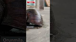 How a God Created the World and Humans Out of Clay   The Amazing Story of Obatala