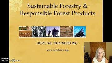 forest certification