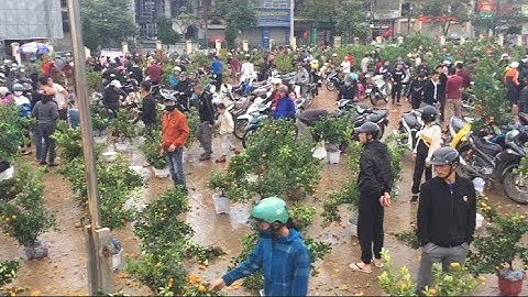 Chợ Quất Cảnh Ngày 30 Tết Nhộn Nhịp | Lún vlogs