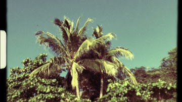 An Ode To Moog: Experimentation and improvisation with the Animoog Z