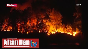 Nghệ An cảnh báo cháy rừng ở cấp V
