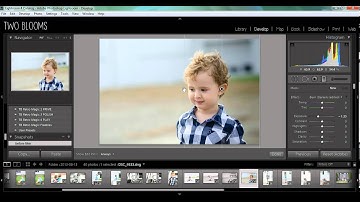 Getting started with graduated filters in Lightroom