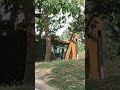 😱jcb facc gya😨#shortvideo #shortvideo