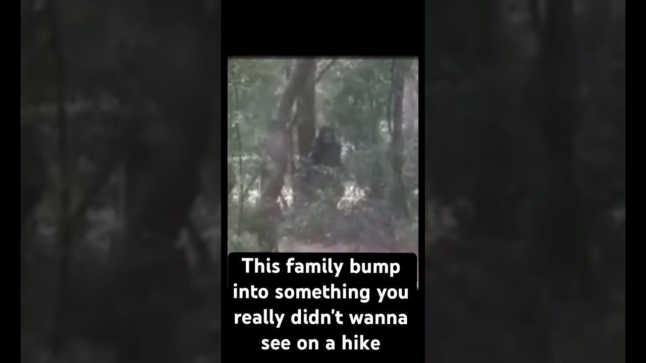 A Terrifying Dogman Encounter BFT Bigfoot Sasquatch