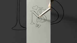 NS shuru hota hai na NS Ka matlab Pyar