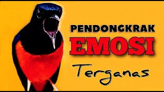 PENDONGKRAK EMOSI ... terganassss .... !!! 100725