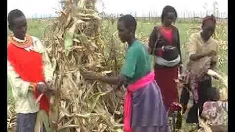 CNCNEWS(Africa) Kenya Red Cross warns of looming drought