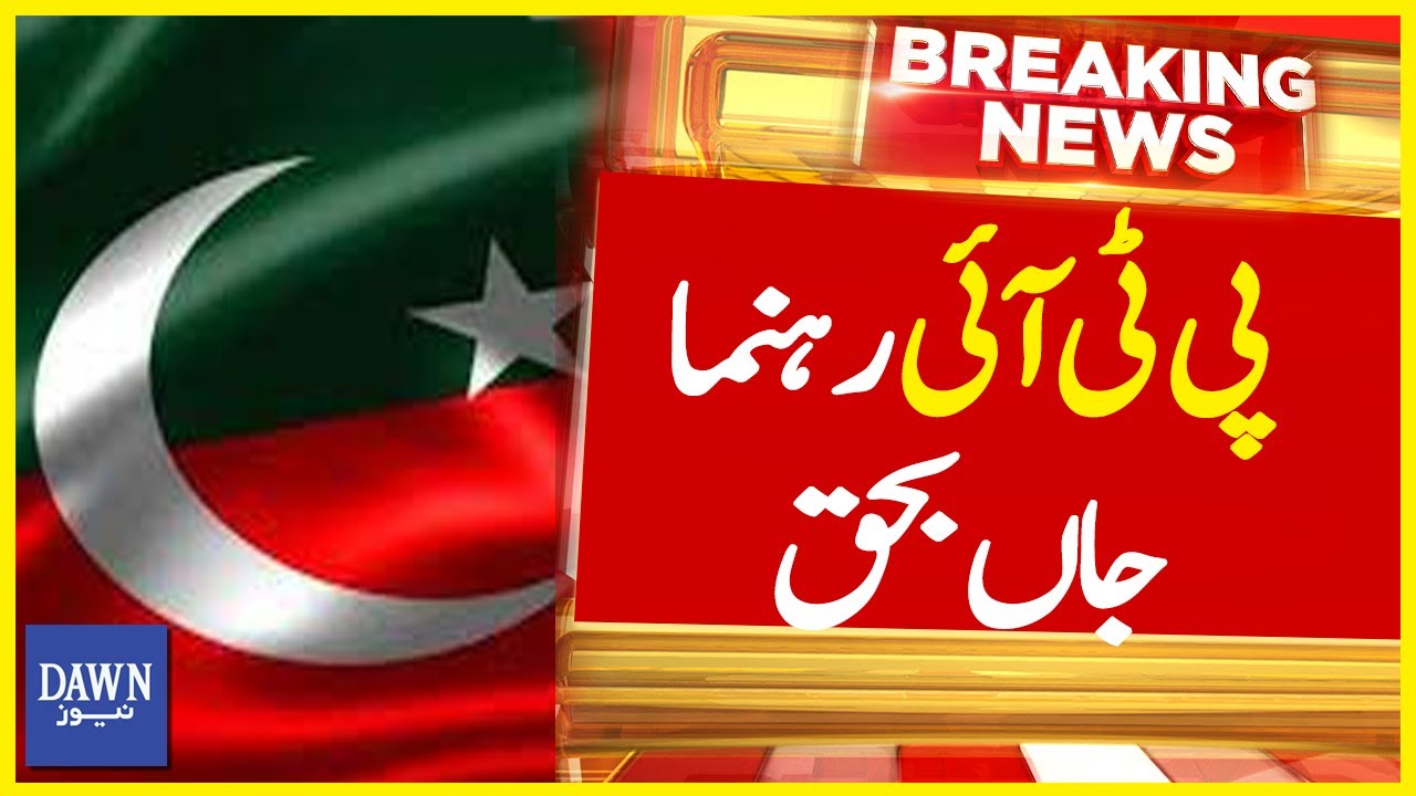 PTI Rehnuman Jan Bahaq Breaking News Dawn News YouTube