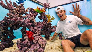 Building HUGE REEF inside My NEW Saltwater POND!!