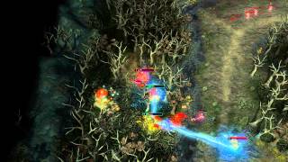 Juking Rally( Heroes of Newerth)
