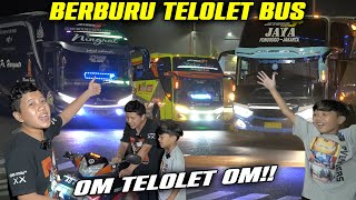 DITDIM BERBURU TELOLET BUS