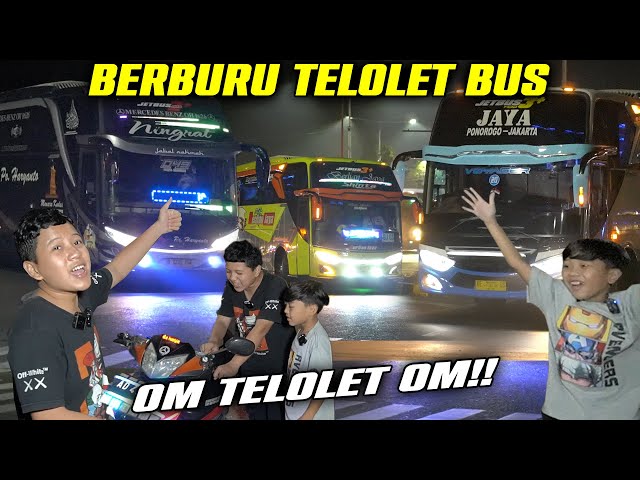 DITDIM BERBURU TELOLET BUS class=