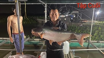 Câu Cá Tra Sông-Toàn hàng khủng ở bè anh Hiền thả mồi xuống đớp lía lịa .(Tập Cuối)