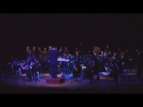 Senso Orchestra - Drink Up Me Hearties  (Pirates of the Caribbean)