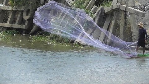 Vissen bij de boot, zilverkarper vangen en zilverkarper