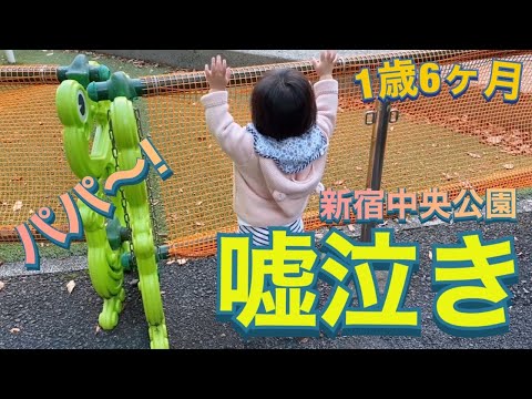 1歳6ヶ月 パパが好きすぎて嘘泣きする雫ちゃん