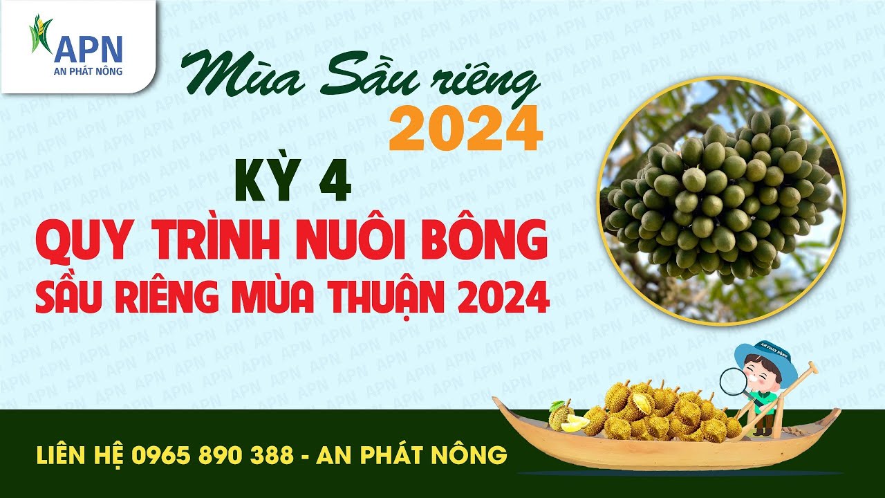 APN - QUI TRÌNH NUÔI BÔNG SẦU RIÊNG | MÙA SẦU RIÊNG 2024 KỲ 4