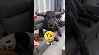 ¡Estos animales son muy inteligentes! 🐾🧠