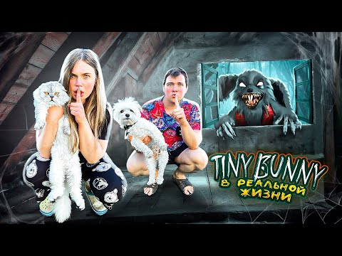 Видео: TINY BUNNY В РЕАЛЬНОЙ ЖИЗНИ | 24 ЧАСА В СТАРОМ САРАЕ С КОТАМИ И СОБАКОЙ