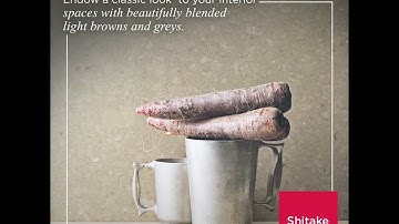 Caesarstone Surfaces by Hafele