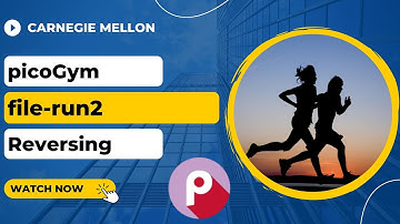 picoGym (picoCTF) Exercise: file-run2