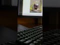 Mechanical Keyboard ASMR Sound Test #shorts