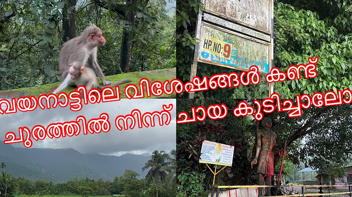 ചുരം വരെ പോയി അവിടത്തെ ക്ലൈമറ്റ് ആസ്വദിച്ചു ഒരു ചായ കുടിച്ചാലോ വാ മക്കളെ. ...❤️❤️❤️❤️