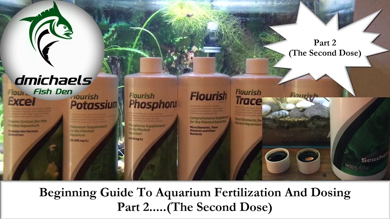 Beginning Guide To Aquarium Fertilization And Dosing....Part 2 - The ...