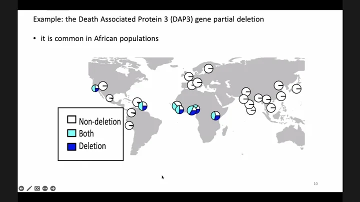 Dr. Marie Saitou (Norwegian Univ. of Life Sciences): "Genomic variation tells us our history"