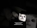 тгк:сейлавми #yandexmusic #yandex #reccomendation #music