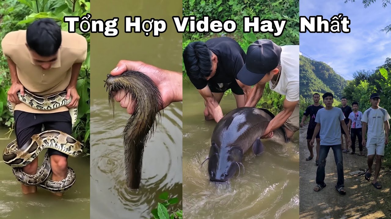 Tổng Hợp Video Hay Nhất Tuyền Vlog