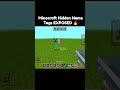 Minecraft nametags exposed 🔥 #minecraft #shorts #trending