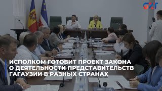 Исполком готовит проект закона о деятельности представительств Гагаузии в разных странах
