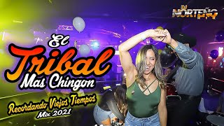 Lo Más Chingon Del Tribal Mix 2021 ( Edición Old School ) Dj Norteño Mix