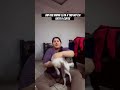 Harna psnd nhi hai Reu ko #petshub #comedyfilms #comedymovies #subscribe #explore #funniestvideo