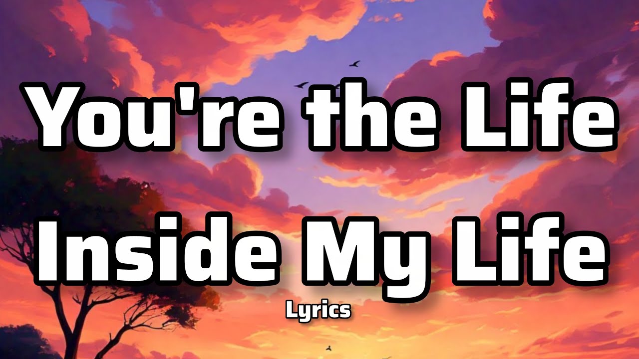 鉛筆画「My song, my life」　B5大サイズ 鉛筆画「My rainy day」 B5大サイズ [Eng sub] I drew a cute panda with a