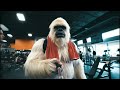 Yeti hits the gym on the road to the 2026 Arnold Classic!