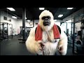 Yeti hits the gym on the road to the 2026 Arnold Classic!