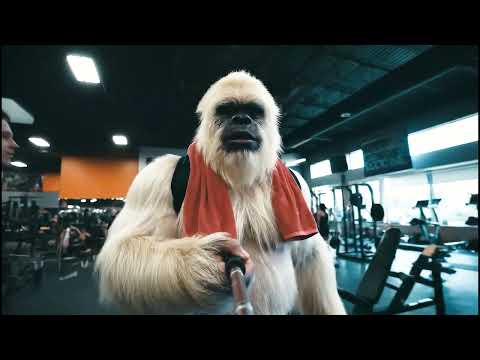 Yeti hits the gym on the road to the 2026 Arnold Classic!