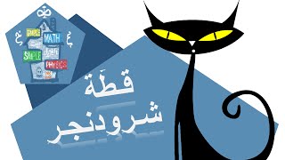 قطة شرودنجر العجيبة