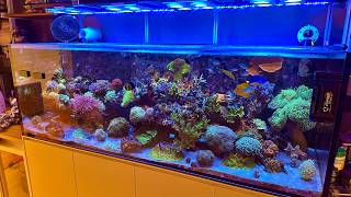 UNS R180 Update August 2026 - Coral Warfare!